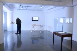 2014 HS2 Toi Poneke 02