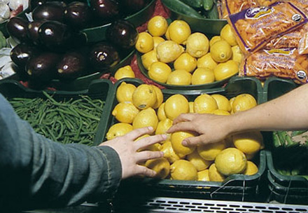 touching 1000 people, performance intervention and photographs, montreal:vancouver, 2003