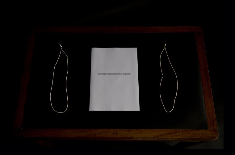 Renee Bevan, 'absent presence', 2014, detail 2