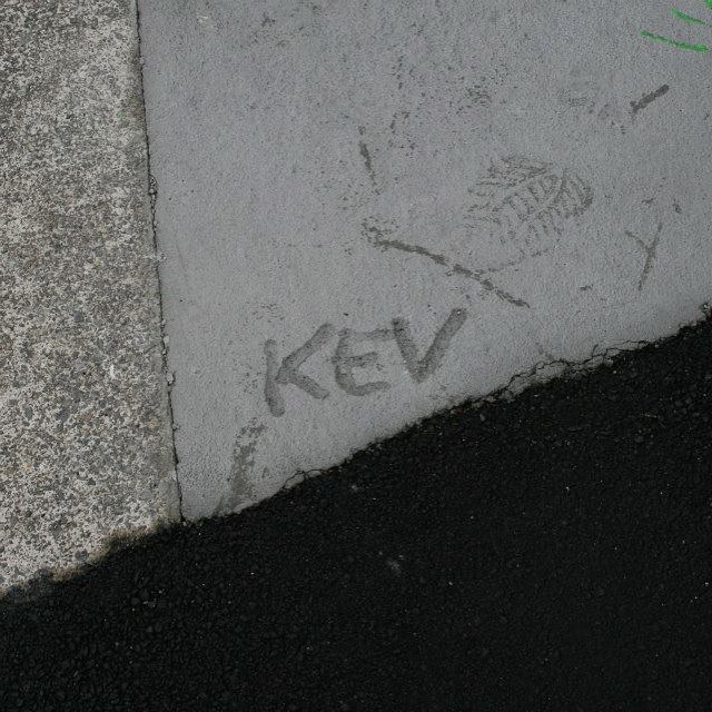 11358128_1454972994807275_191715165_n