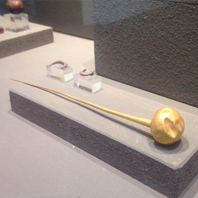 12106174_844198625695826_1832258507_n